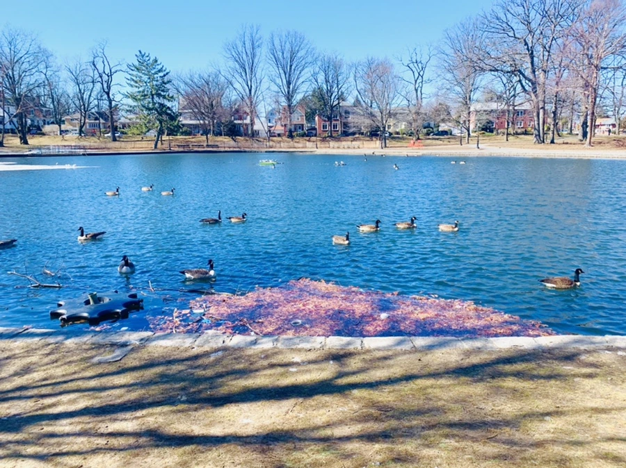 IMG_6649.jpg?type=w966