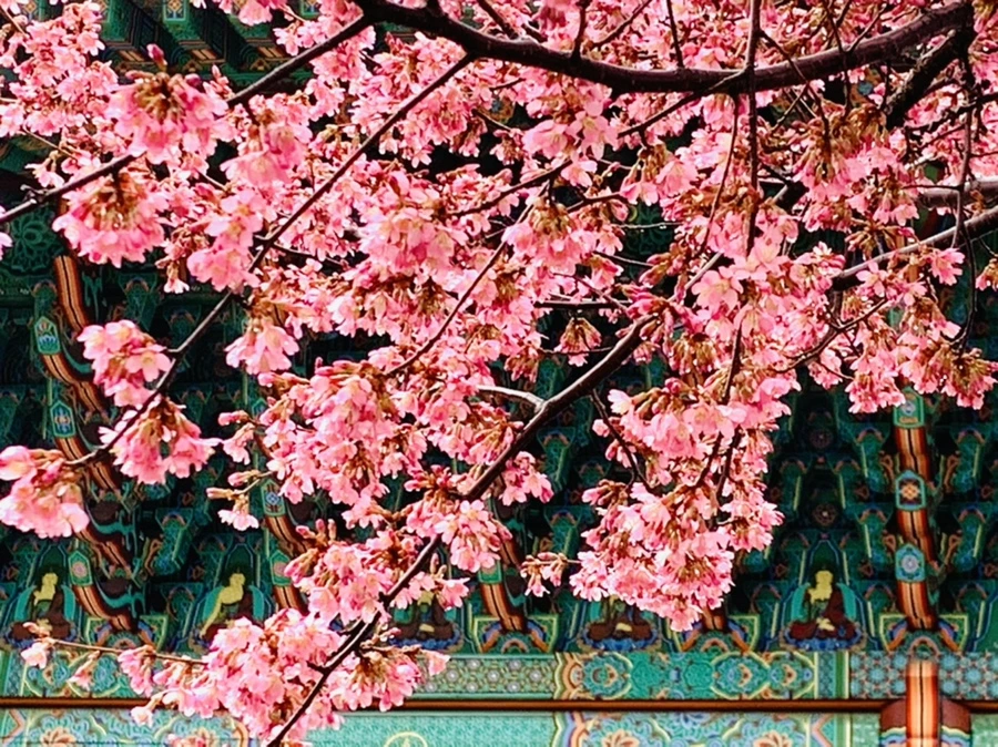 IMG_5240.jpg?type=w966