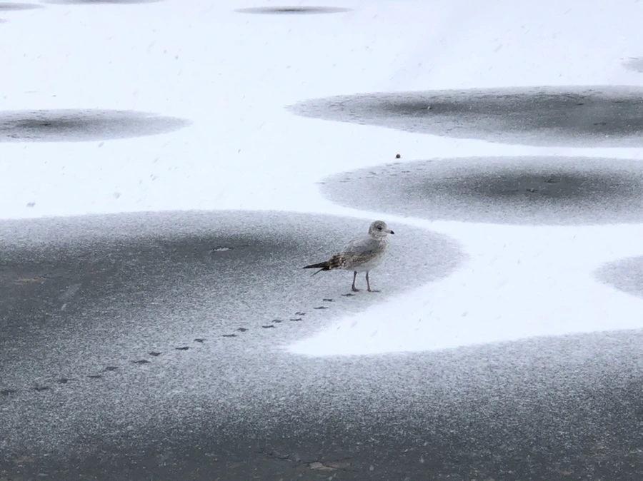 IMG_5967.jpg?type=w966