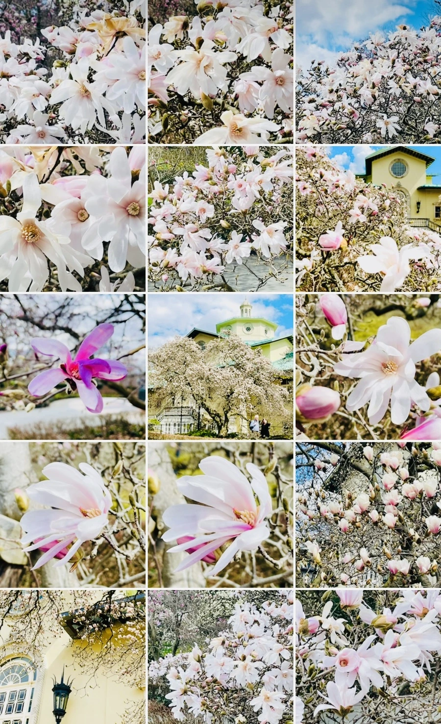 IMG_7299.jpg?type=w966