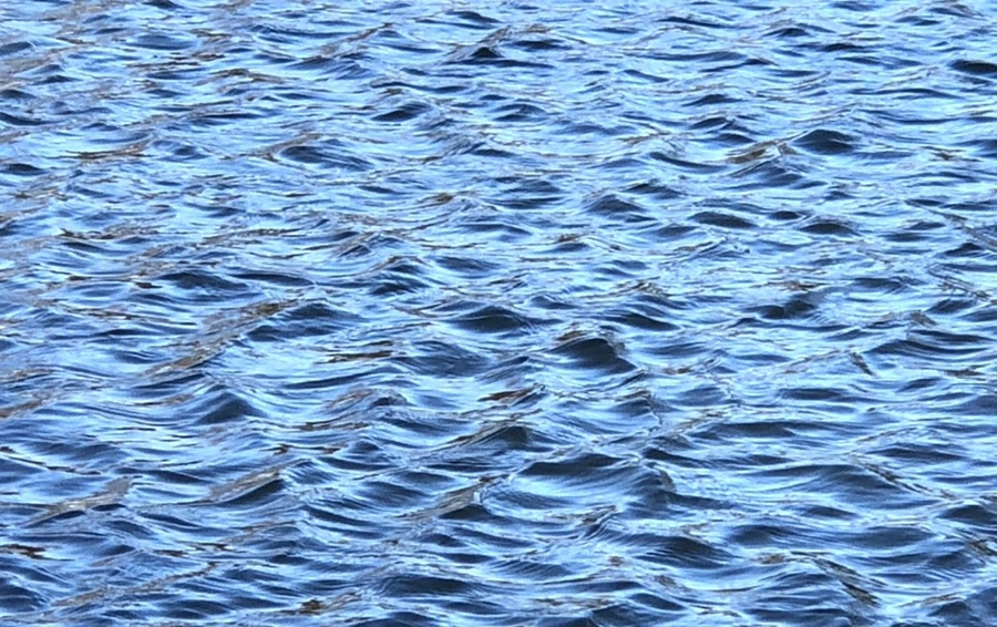 IMG_3886.jpg?type=w966