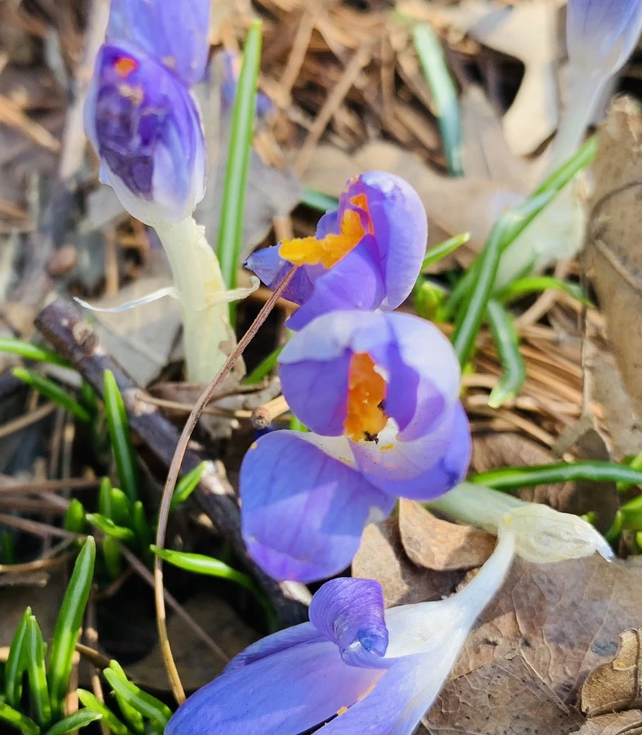 IMG_0101.jpg?type=w966