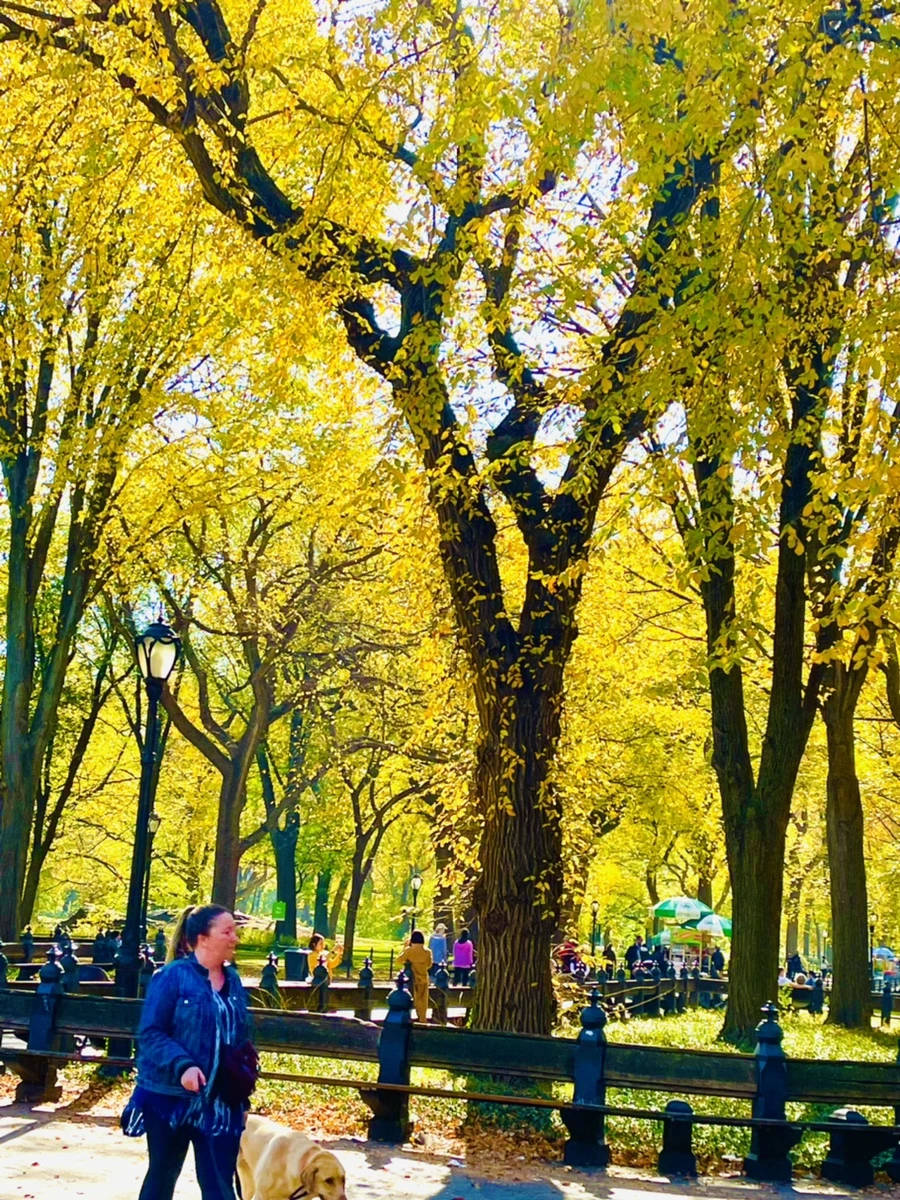 IMG_1592.jpg?type=w966