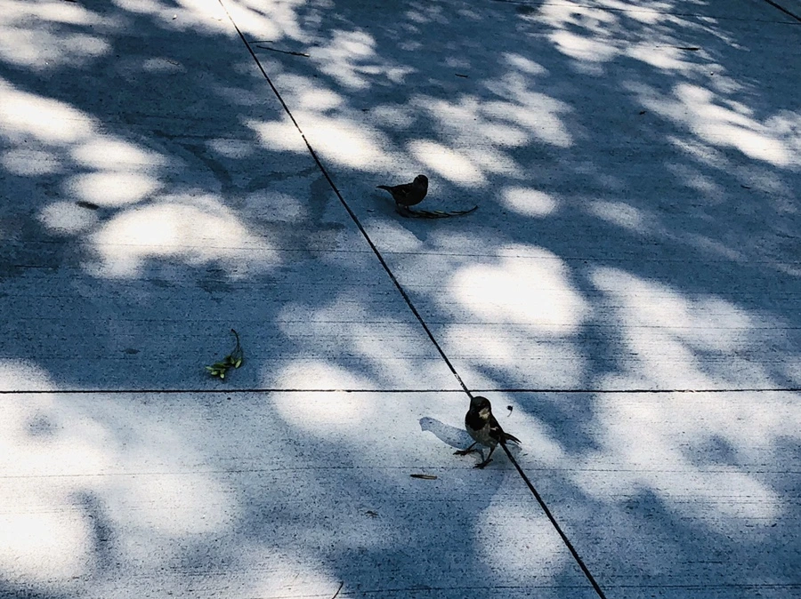 IMG_3479.jpg?type=w966