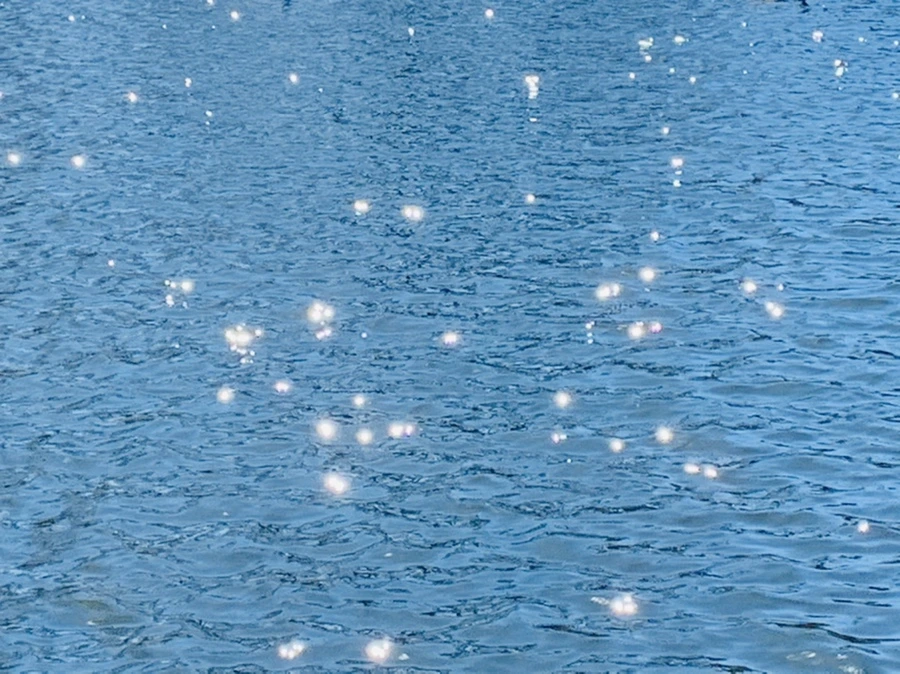 IMG_7540.jpg?type=w966