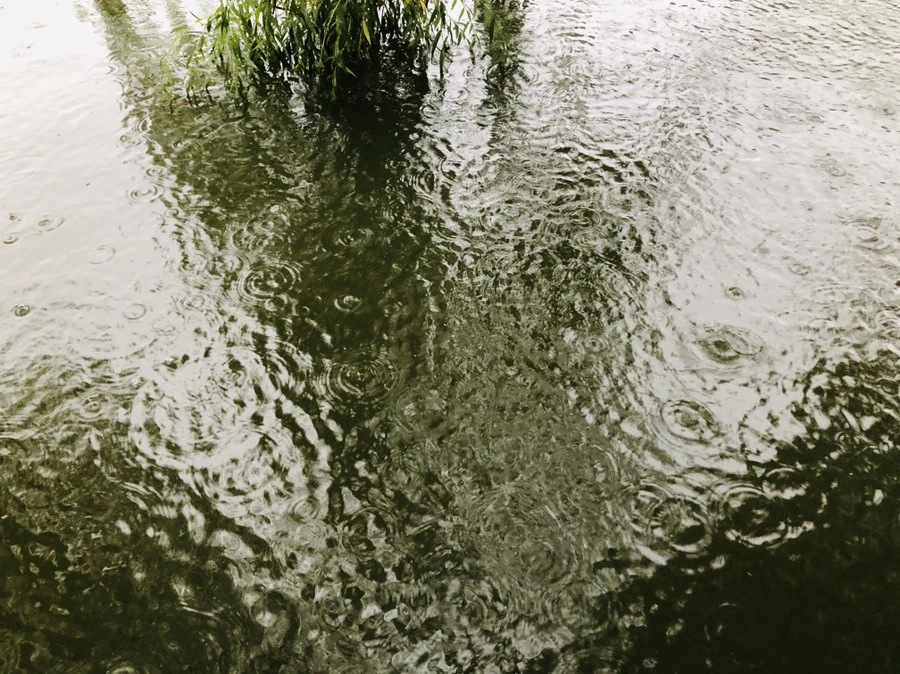 IMG_5091.jpg?type=w966