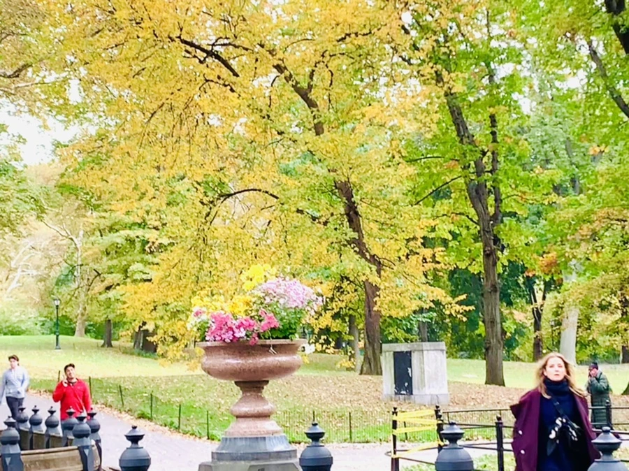 IMG_0219.jpg?type=w966