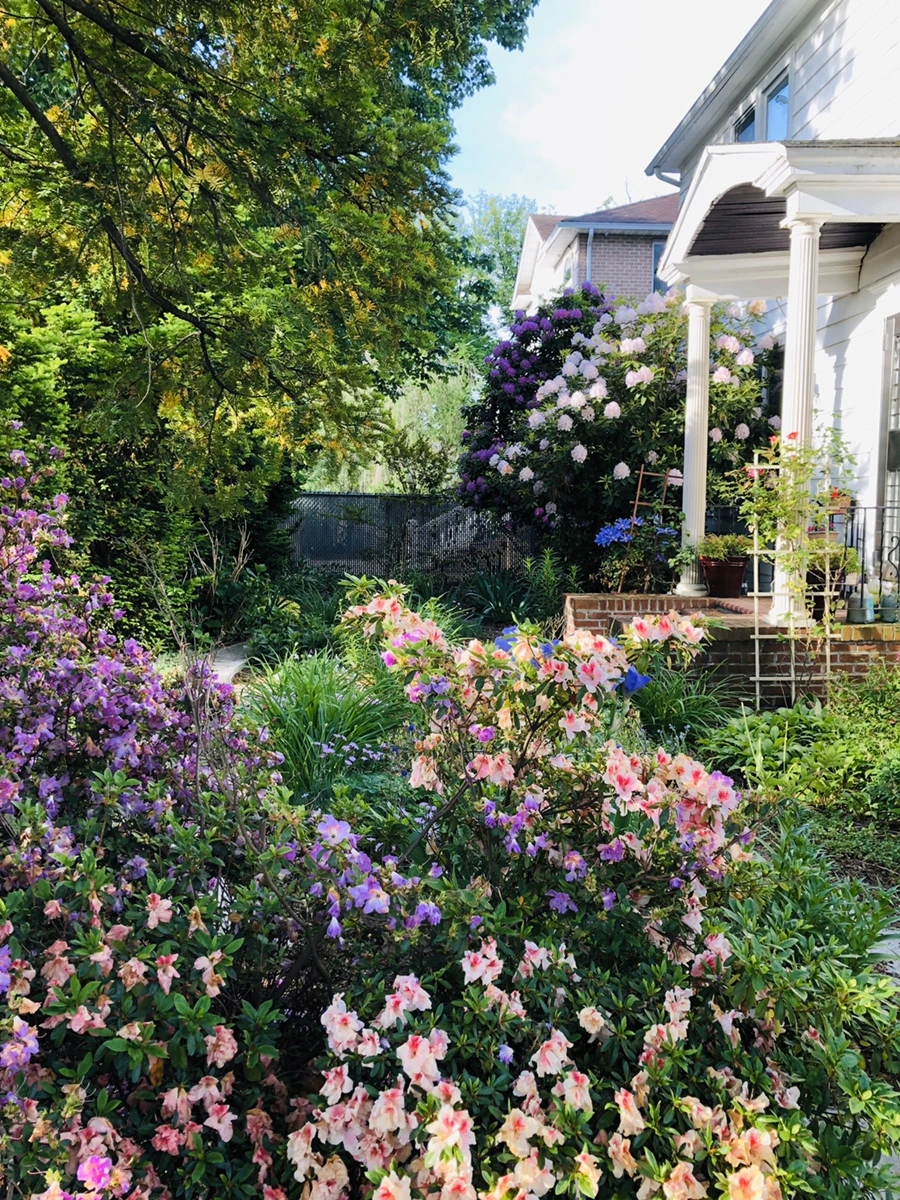 IMG_7616.jpg?type=w966