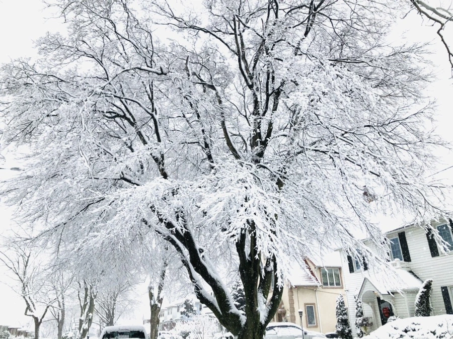 IMG_1011.jpg?type=w966