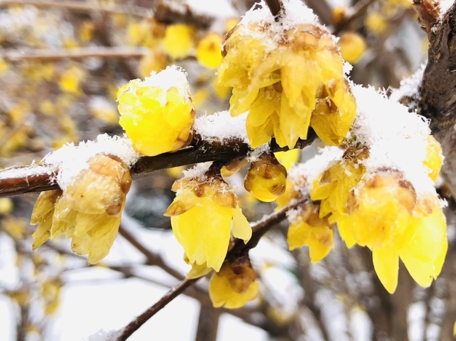 IMG_3492.jpg?type=w966