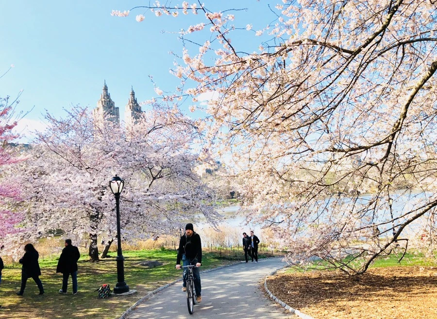 IMG_4533.jpg?type=w966