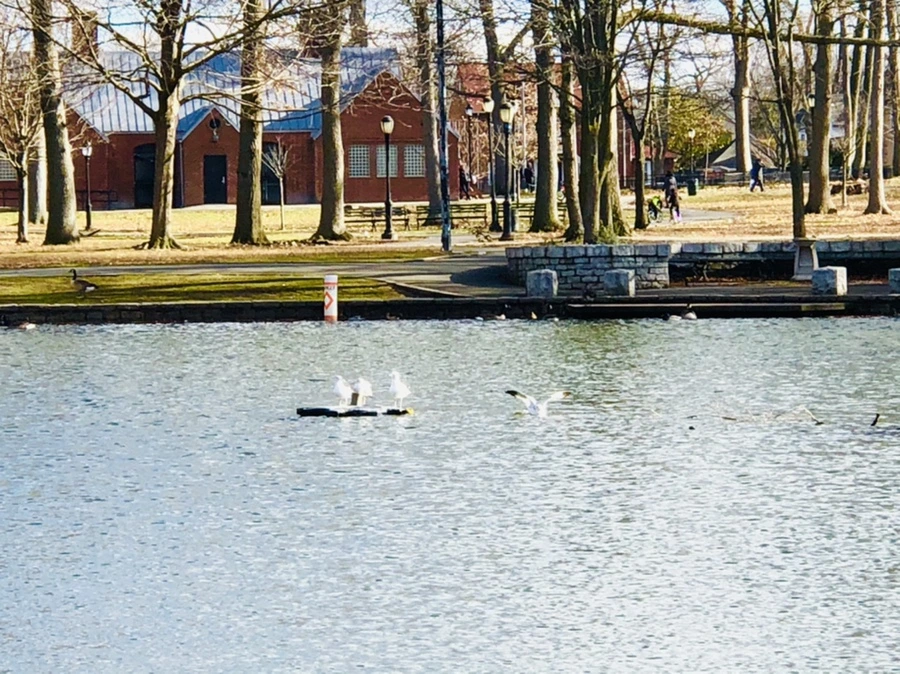 IMG_9231.jpg?type=w966