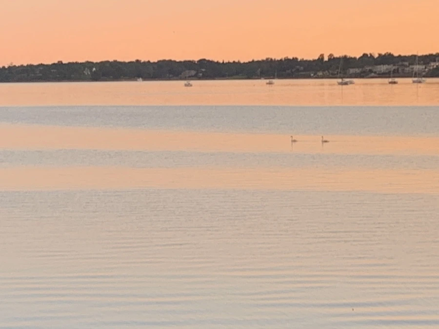 IMG_7523.jpg?type=w966