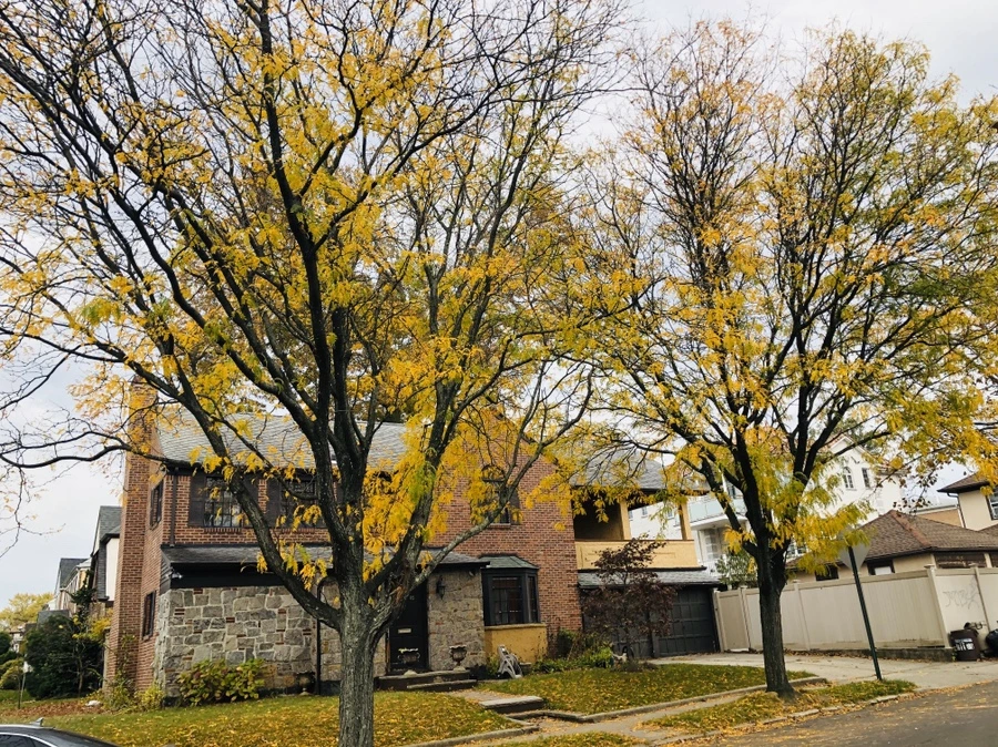 RNk0RxvMxmvrgsOBnuJc6rAob8w