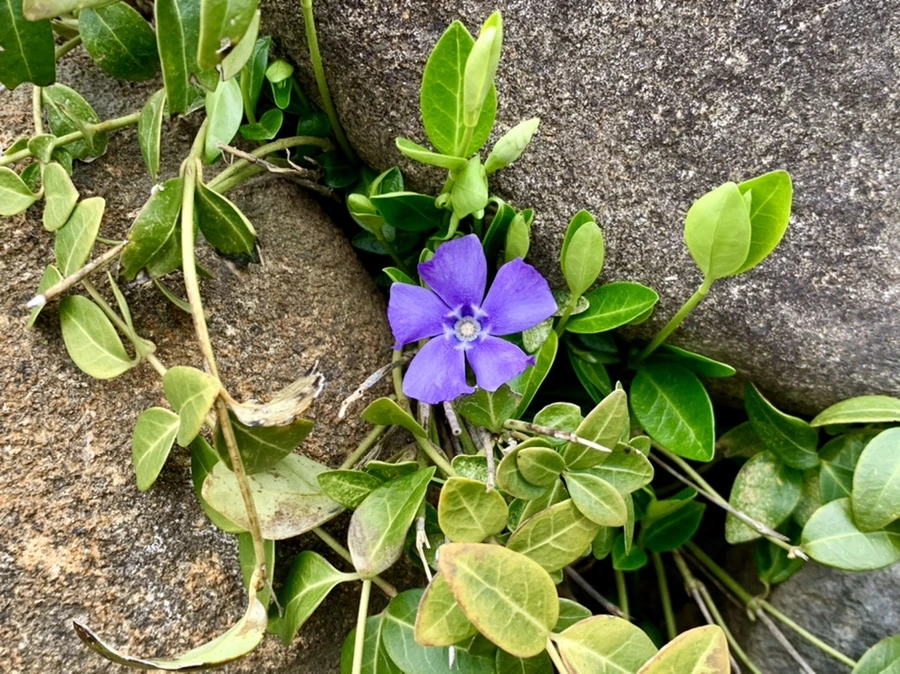 IMG_3440.jpg?type=w966