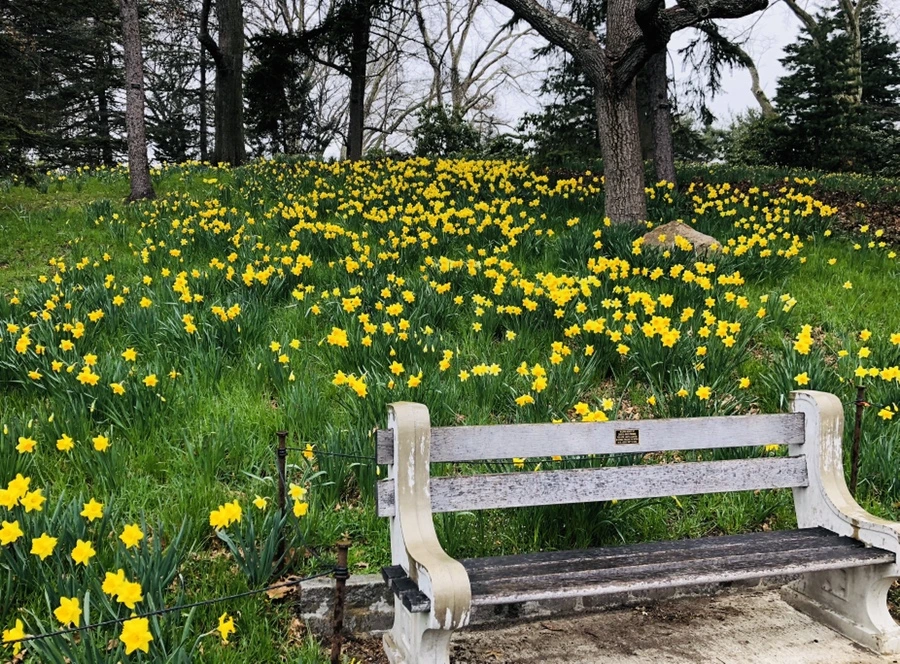 IMG_2346.jpg?type=w966