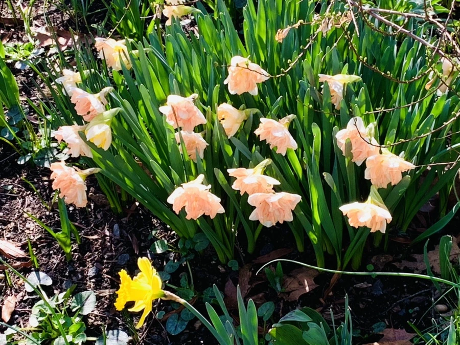 IMG_5799.jpg?type=w966