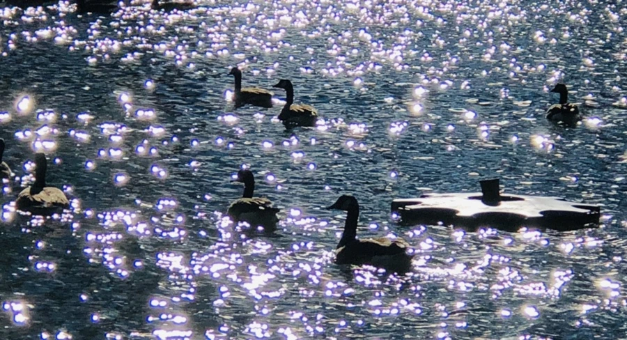 IMG_9196.jpg?type=w966