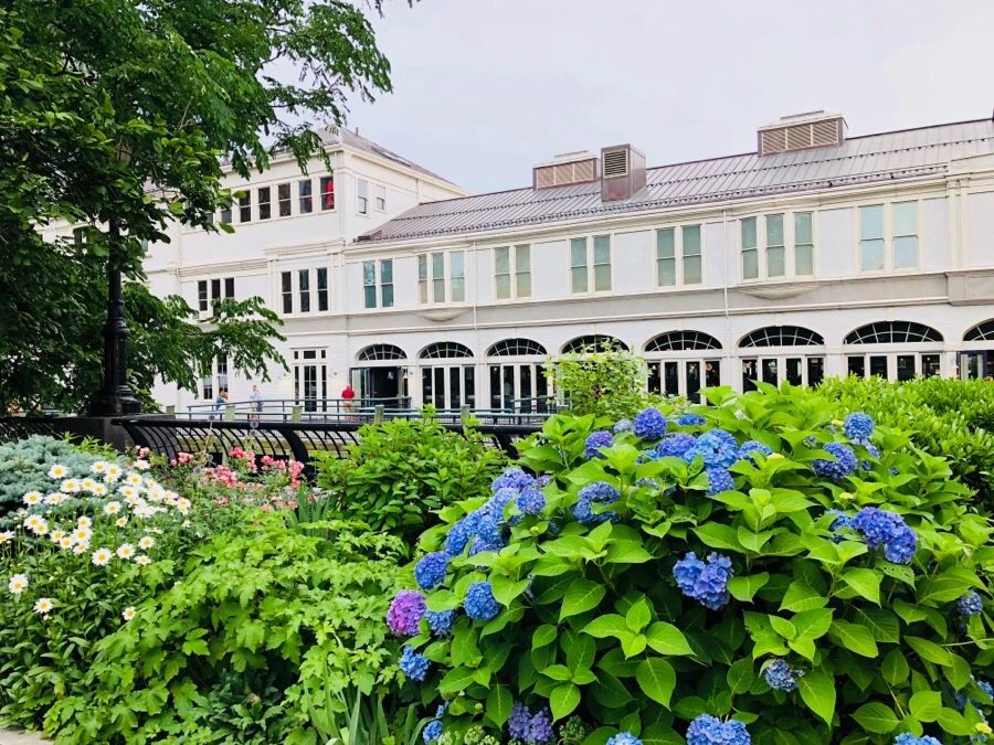 IMG_8424.jpg?type=w966