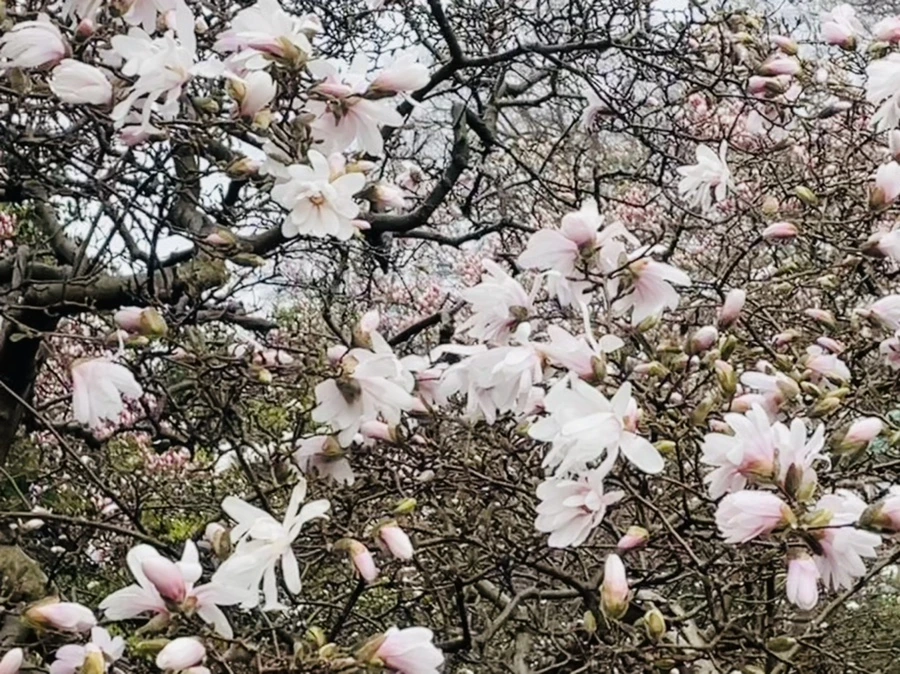 IMG_7364.jpg?type=w966