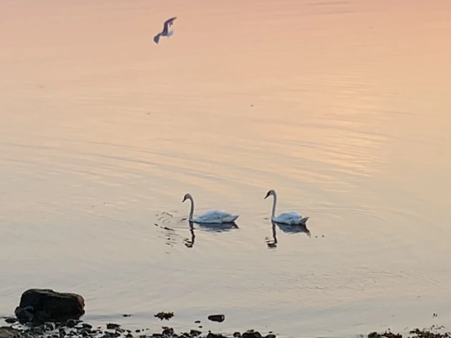 IMG_5086.jpg?type=w966