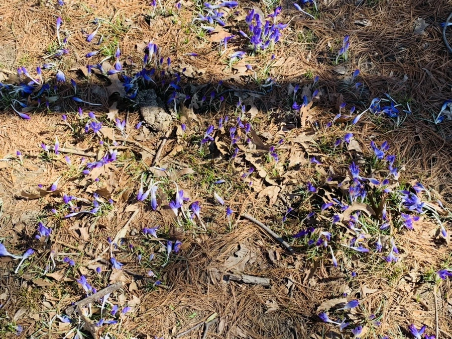 IMG_1416.jpg?type=w966