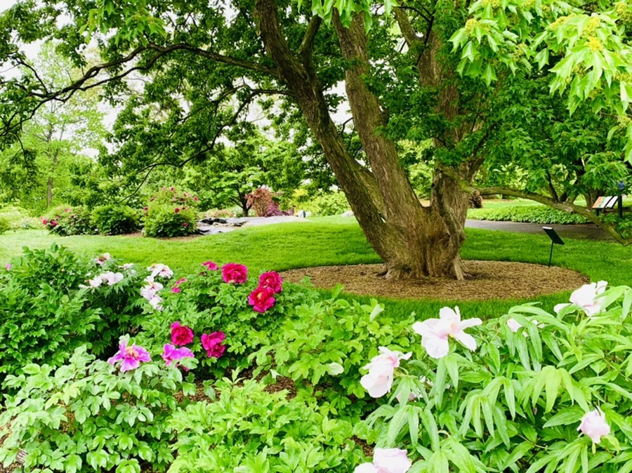 IMG_9954.jpg?type=w966