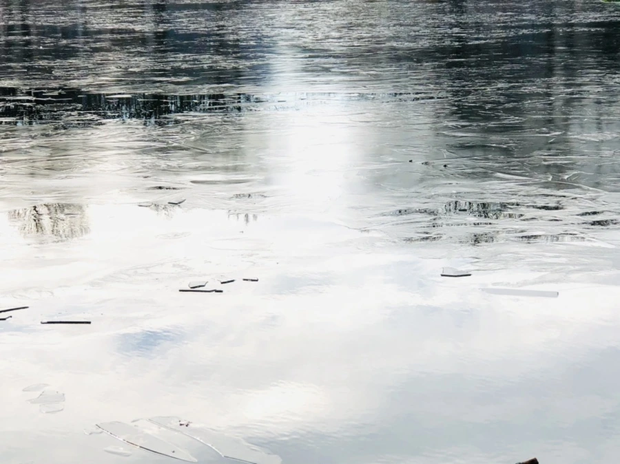 IMG_4788.jpg?type=w966