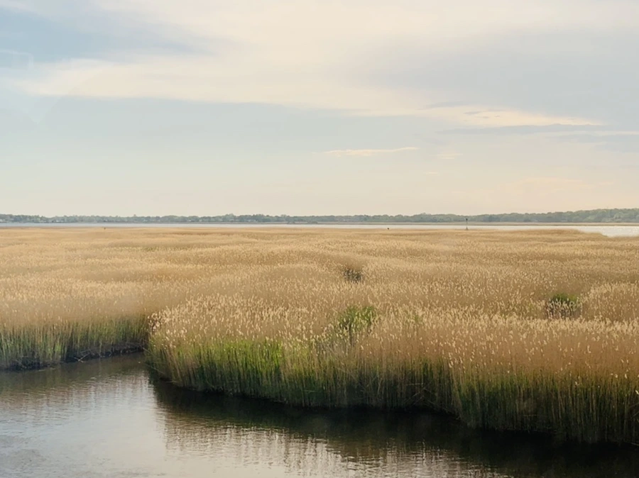 IMG_3192.jpg?type=w966