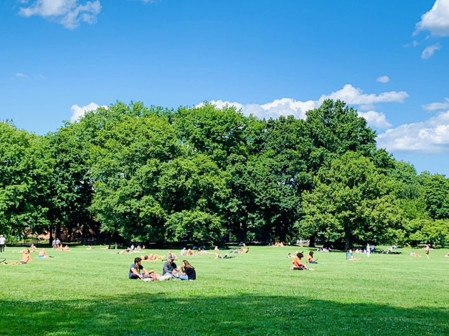 IMG_6348.jpg?type=w966