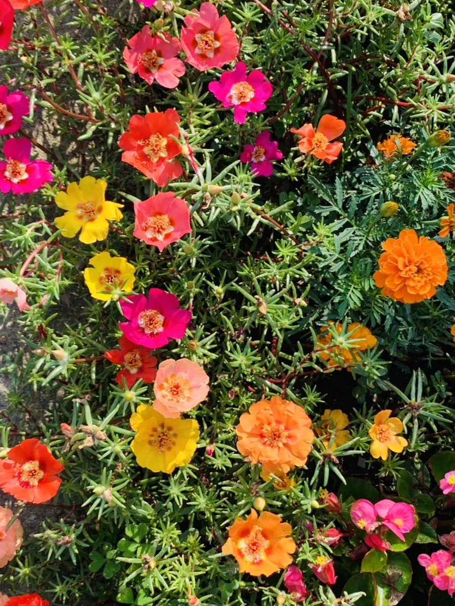 IMG_6647.jpg?type=w966