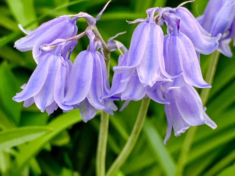 IMG_9077.jpg?type=w966