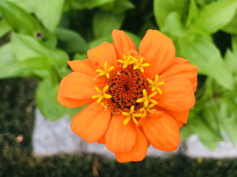 IMG_0295.jpg?type=w966