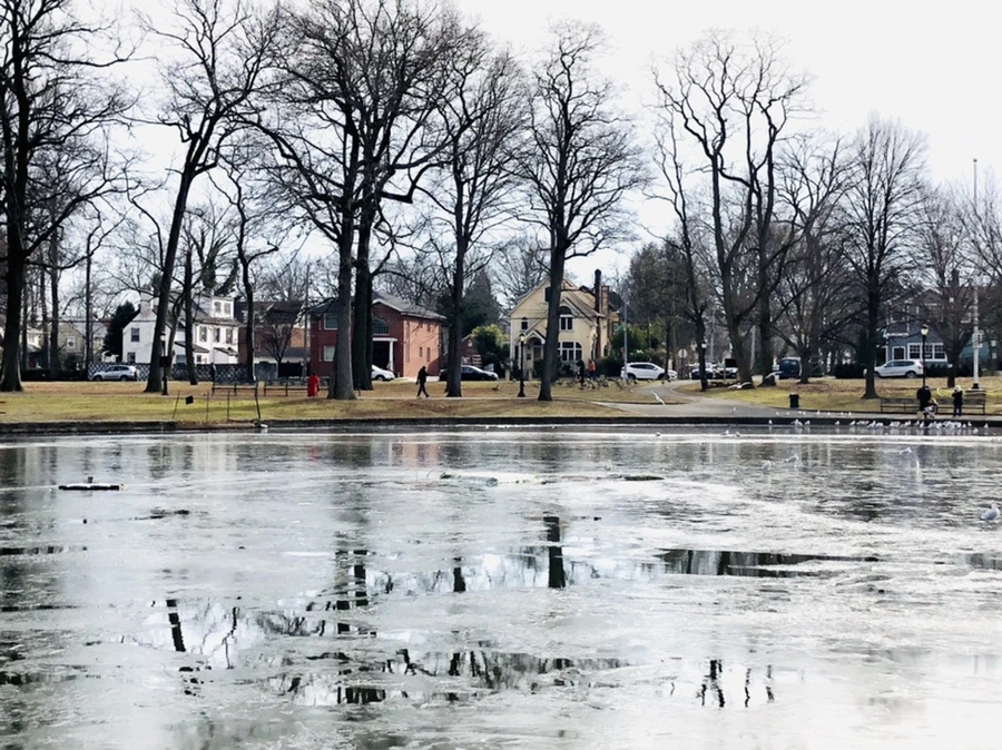 IMG_2050.jpg?type=w966