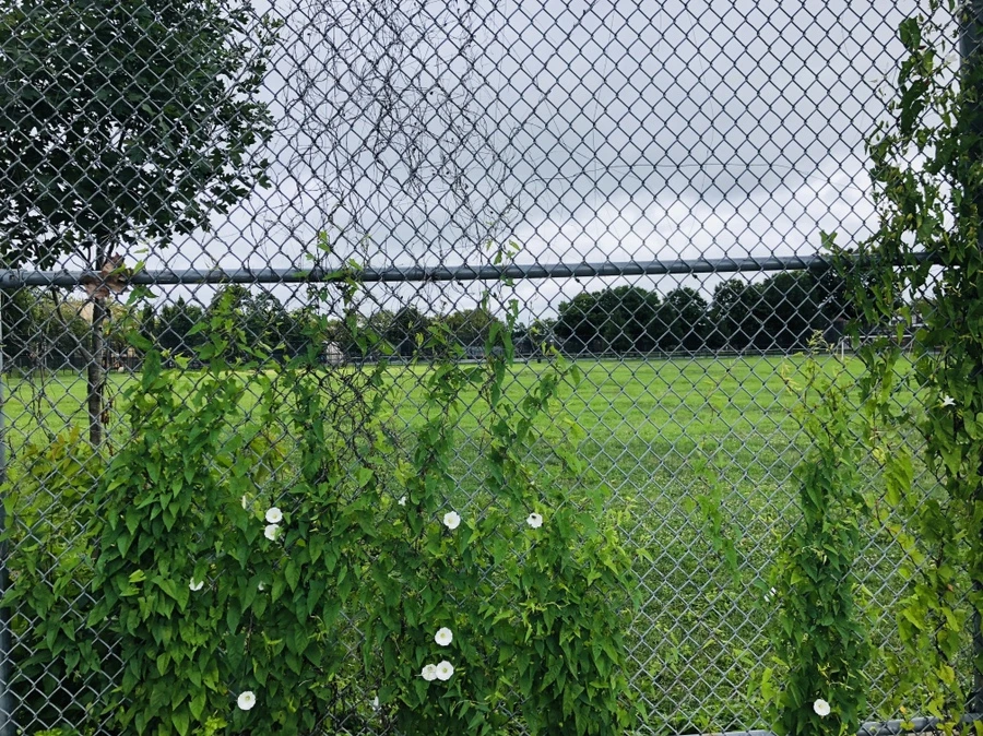 IMG_7739.jpg?type=w966