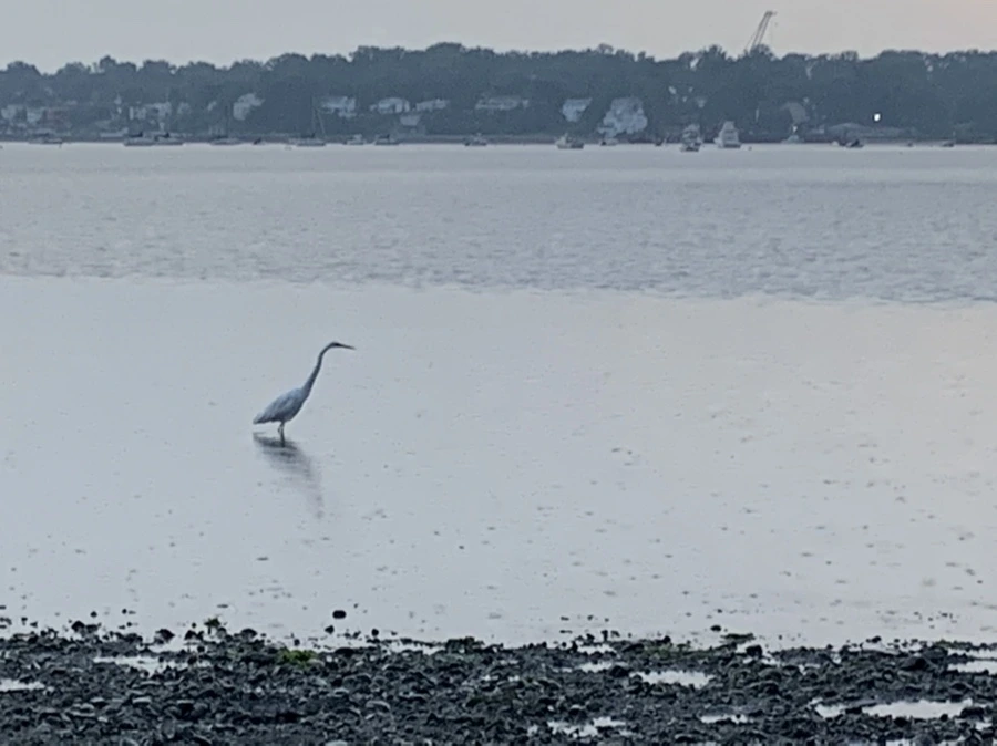 IMG_8119.jpg?type=w966