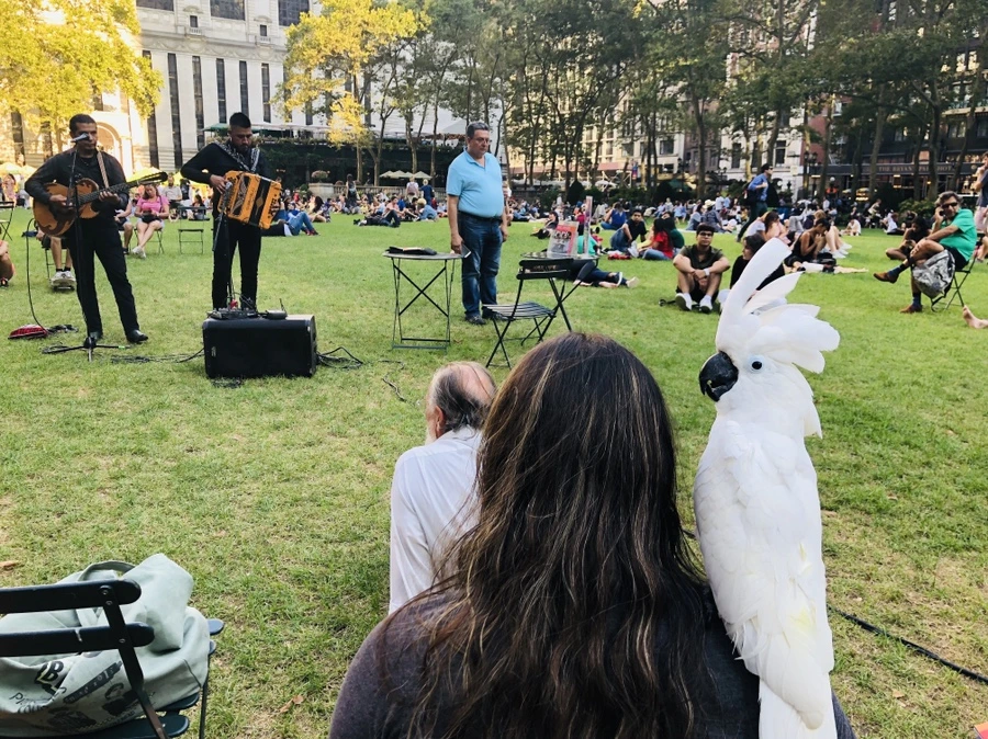 IMG_7793.jpg?type=w966