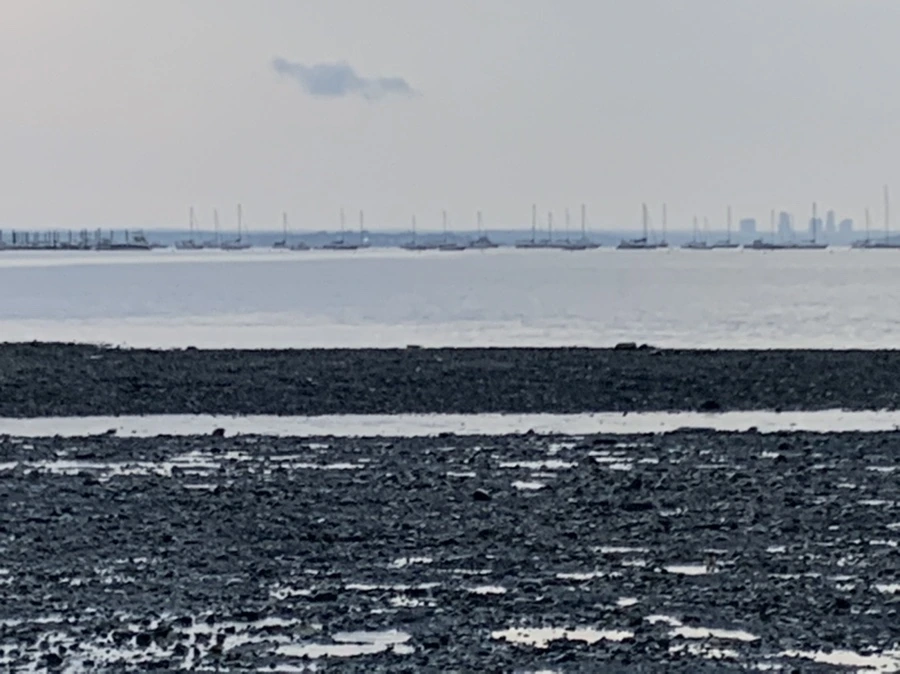 IMG_8140.jpg?type=w966