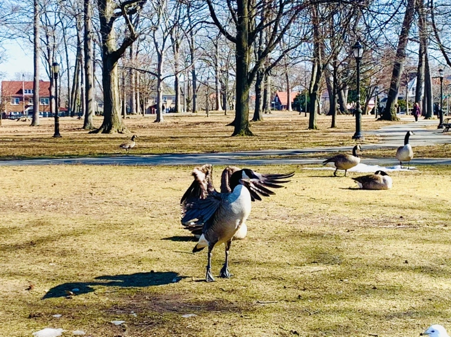 IMG_6970.jpg?type=w966