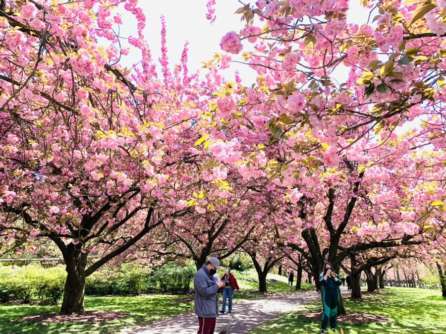 IMG_6436.jpg?type=w966