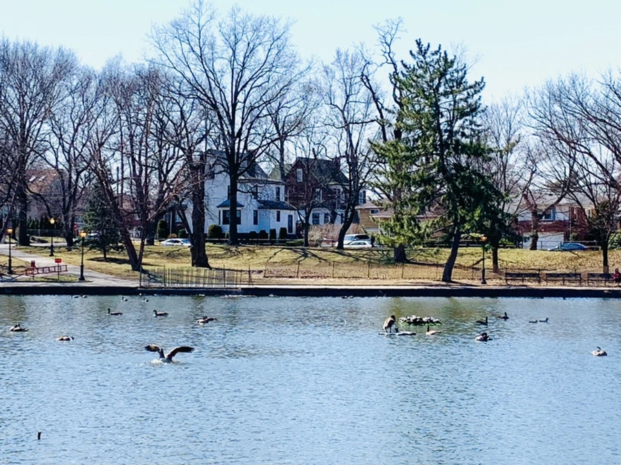 IMG_3121.jpg?type=w966