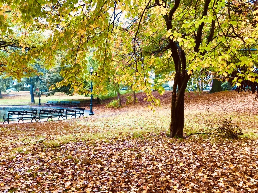 IMG_2951.jpg?type=w966