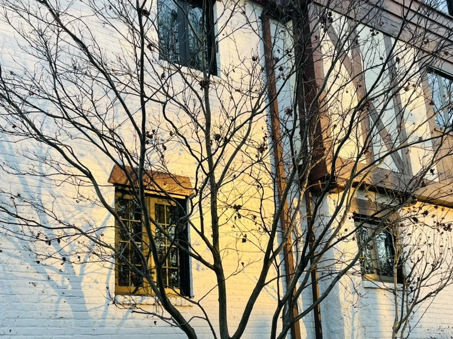 IMG_7503.jpg?type=w966