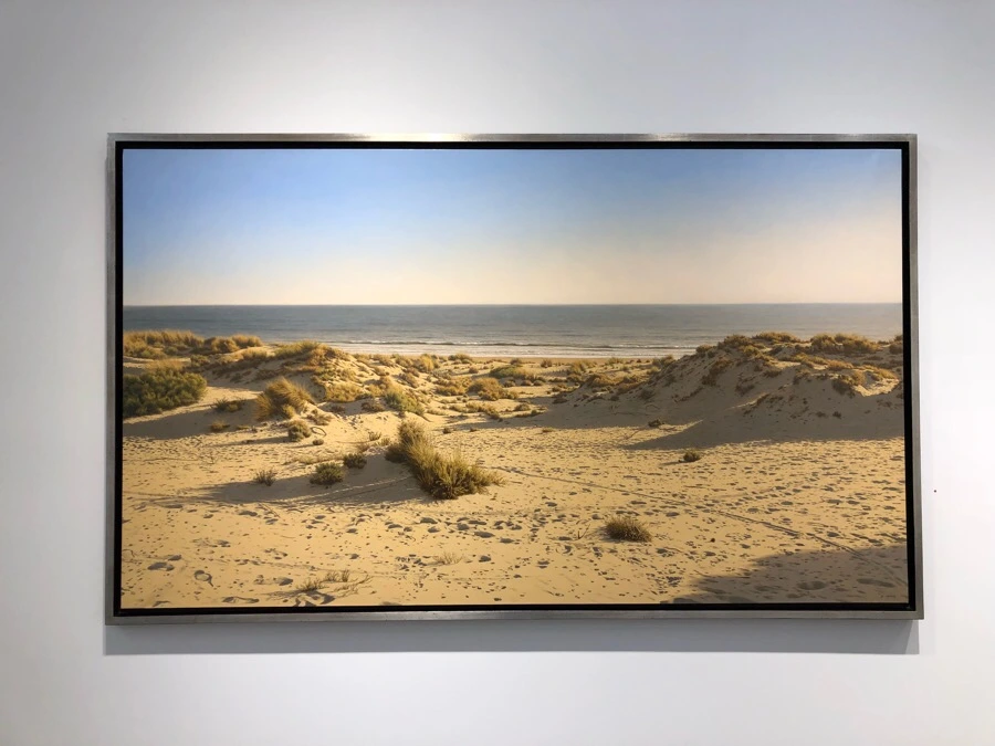 IMG_6218.jpg?type=w966