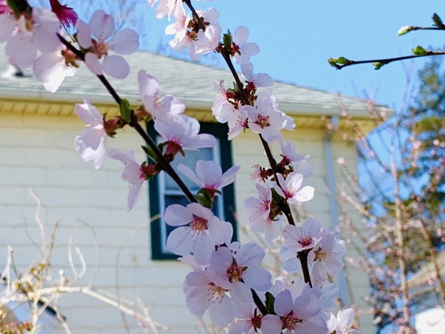 IMG_8108.jpg?type=w966