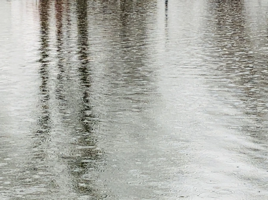 IMG_2112.jpg?type=w966