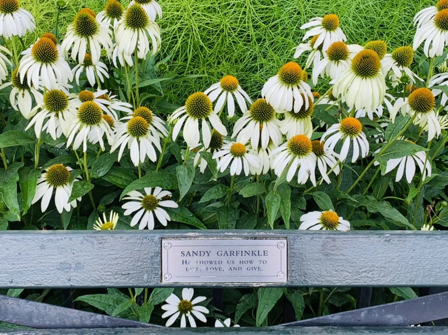 IMG_7997.jpg?type=w966