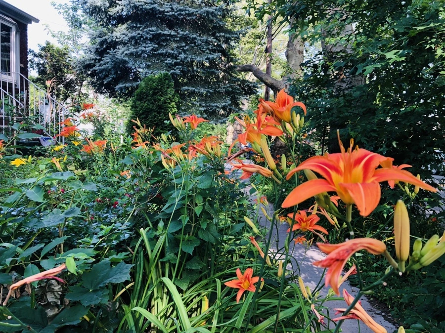 IMG_6757.jpg?type=w966