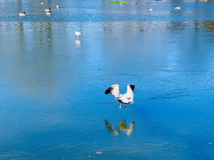 IMG_8956.jpg?type=w966