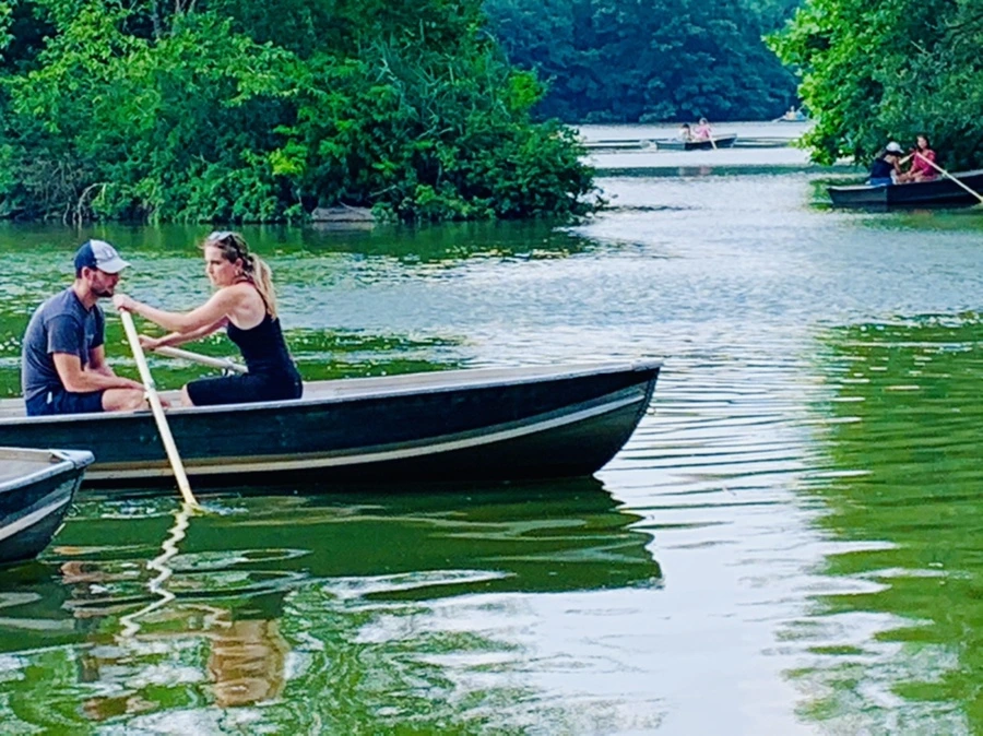 IMG_1729.jpg?type=w966